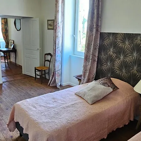 La Surprise Des Jumelles * Castres (Tarn)