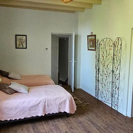 La Surprise Des Jumelles Castres (Tarn)